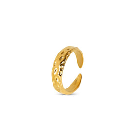 Anillo Textura Lunar Bañado en Oro 18k